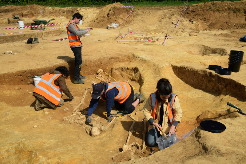 Archaeological Solutions team members at work at the Great Whelnetham site.
